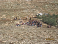 טו בשבת 2011(49 תמונות)