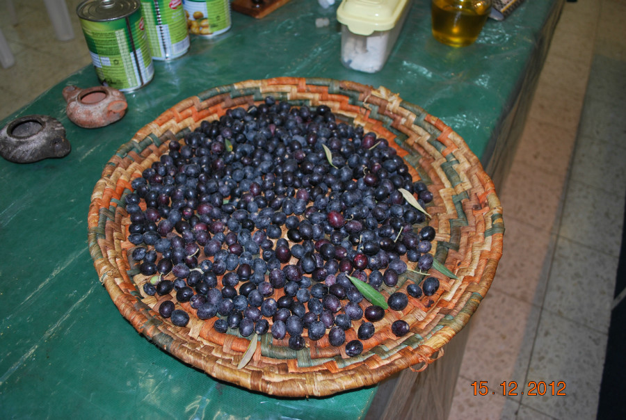 ילדי גבעת אלה מכינים שמן בחג החנוכה