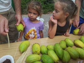 הפנינג סוכות(9 תמונות)