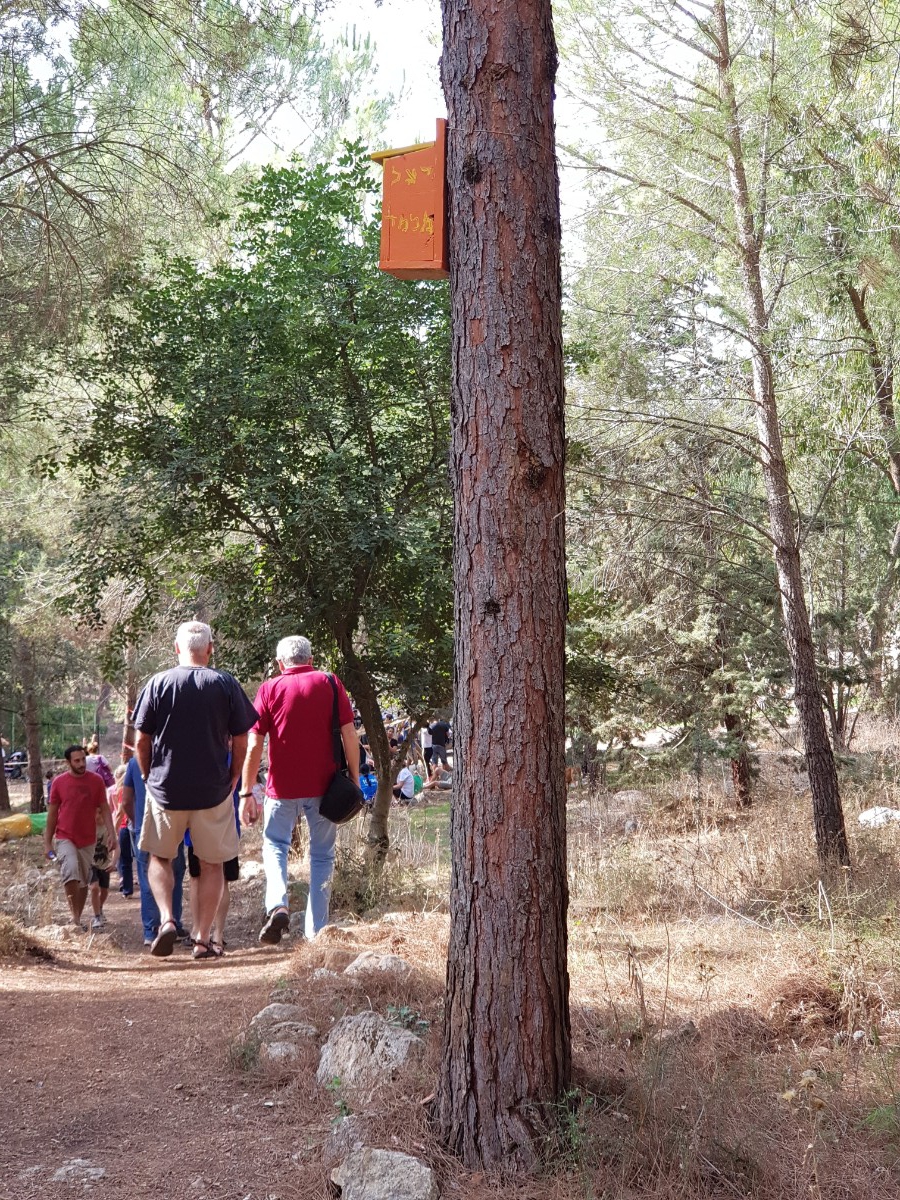 תיבה לירגזים