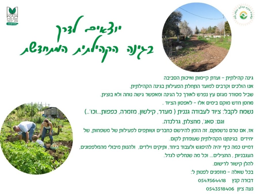 גינה קהילתית גינה קהילתית