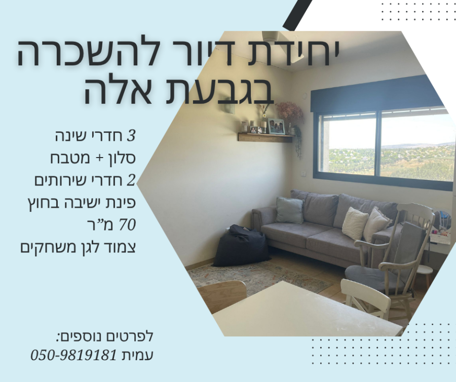 כרמל 17